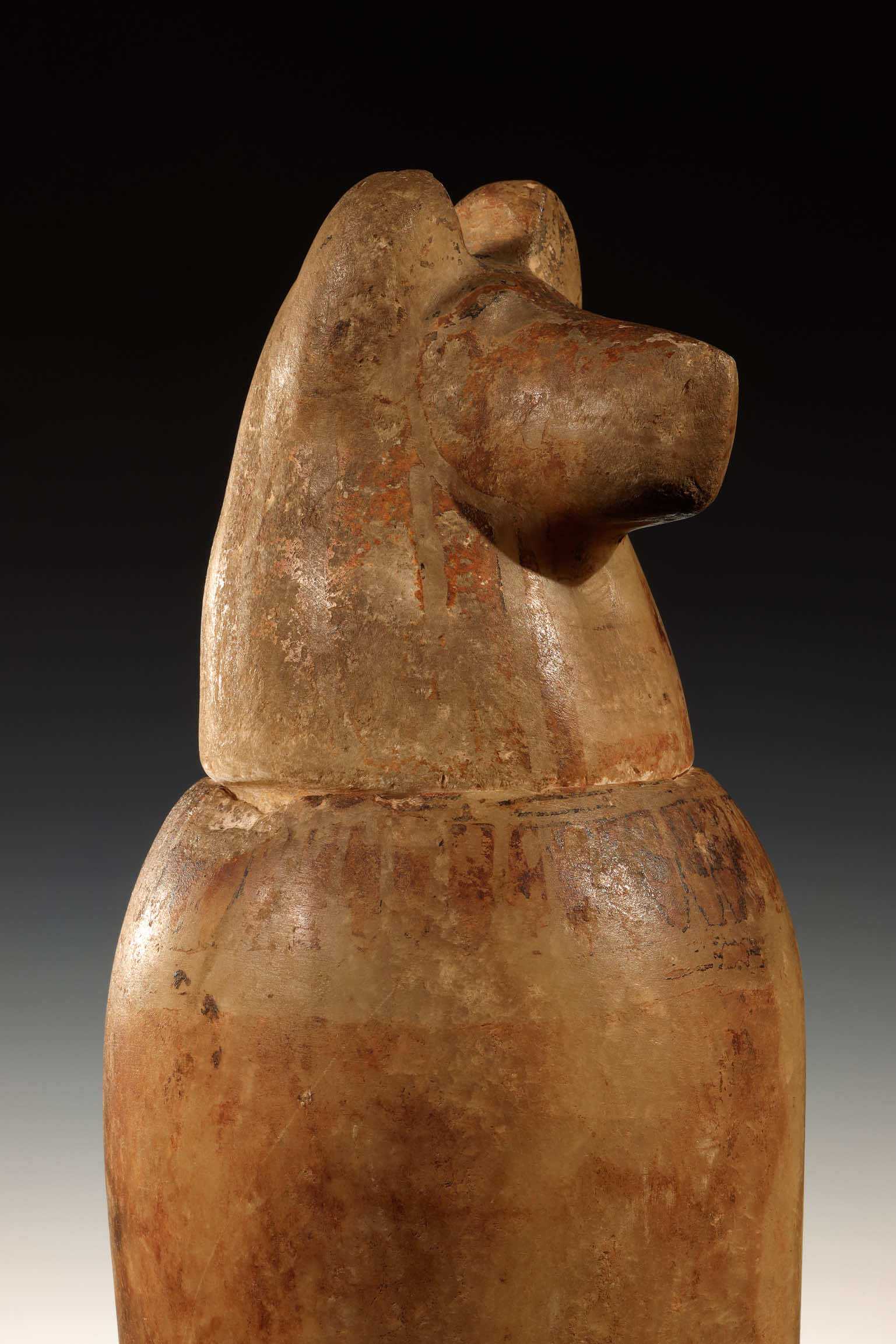 Vaso canopo Duamutef