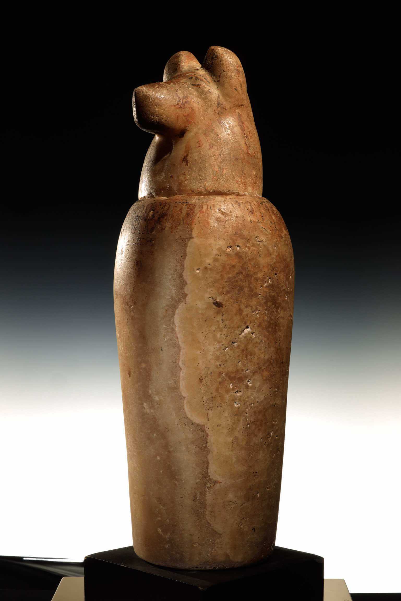 Vaso canopo Duamutef