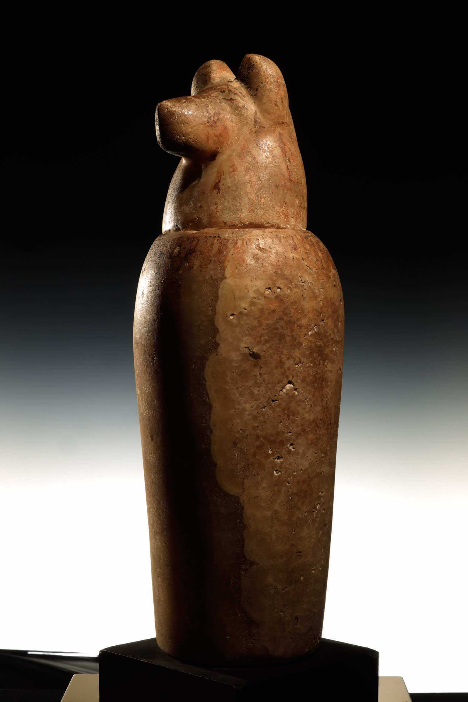 Vaso canopo Duamutef