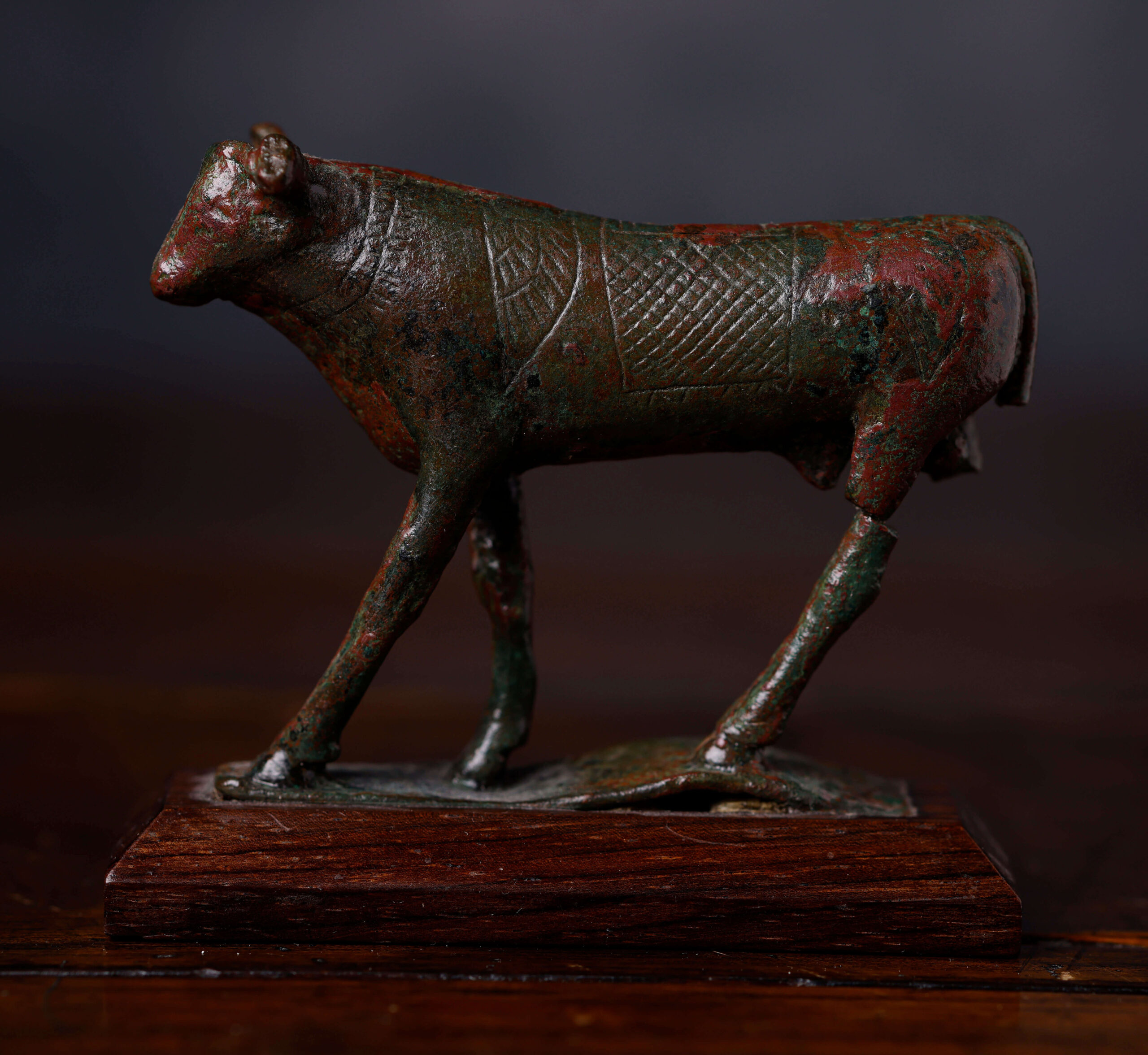 Toro Apis - Imagen 2