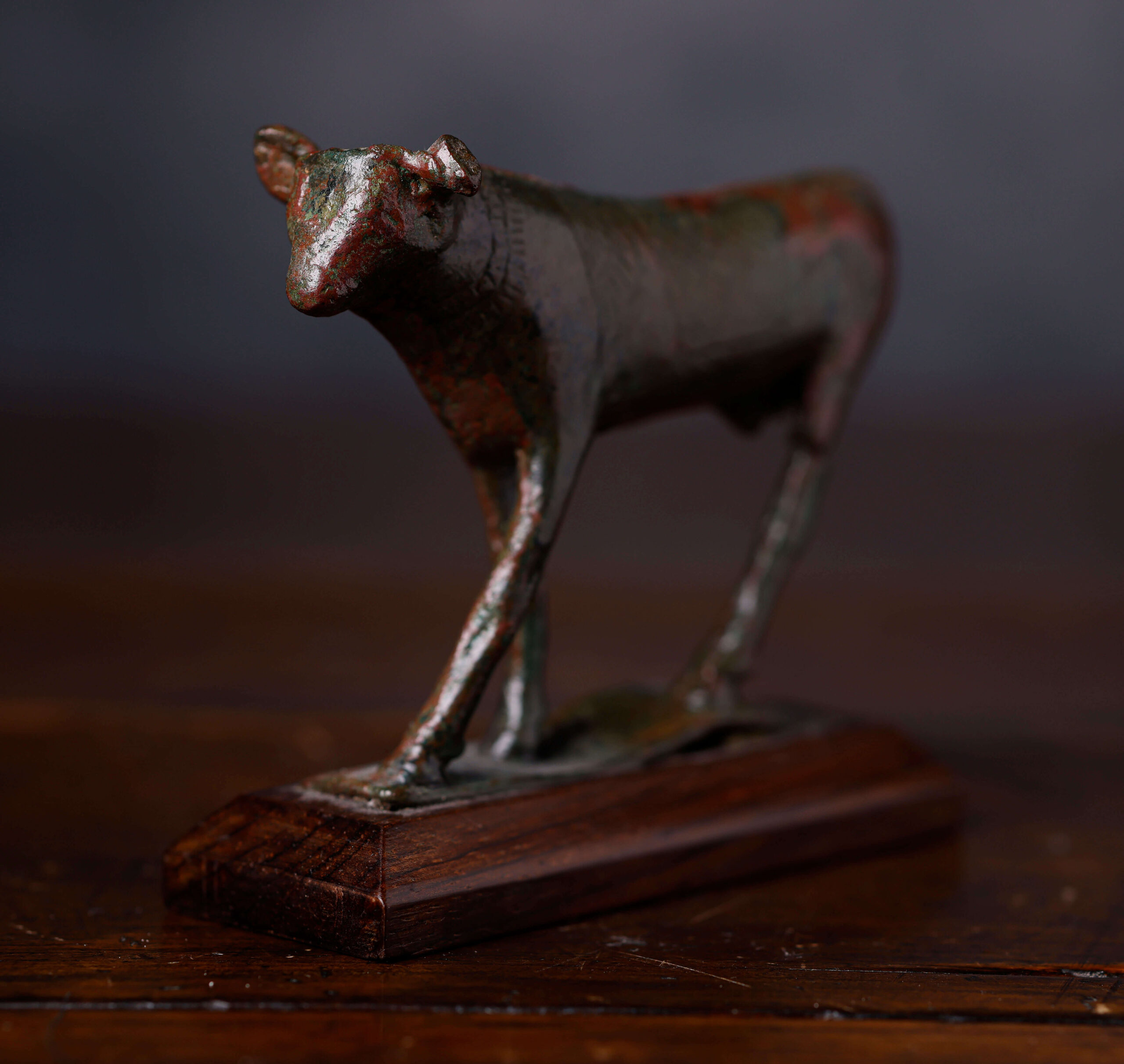 Toro Apis - Imagen 3