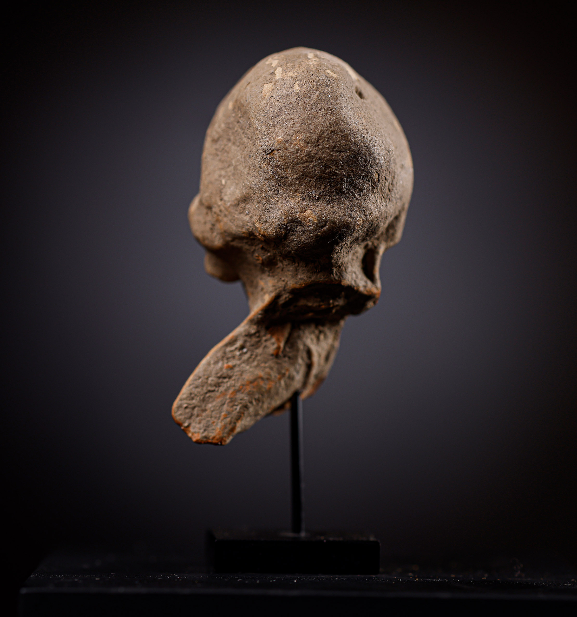 Cabeza femenina de Terracota - Imagen 3