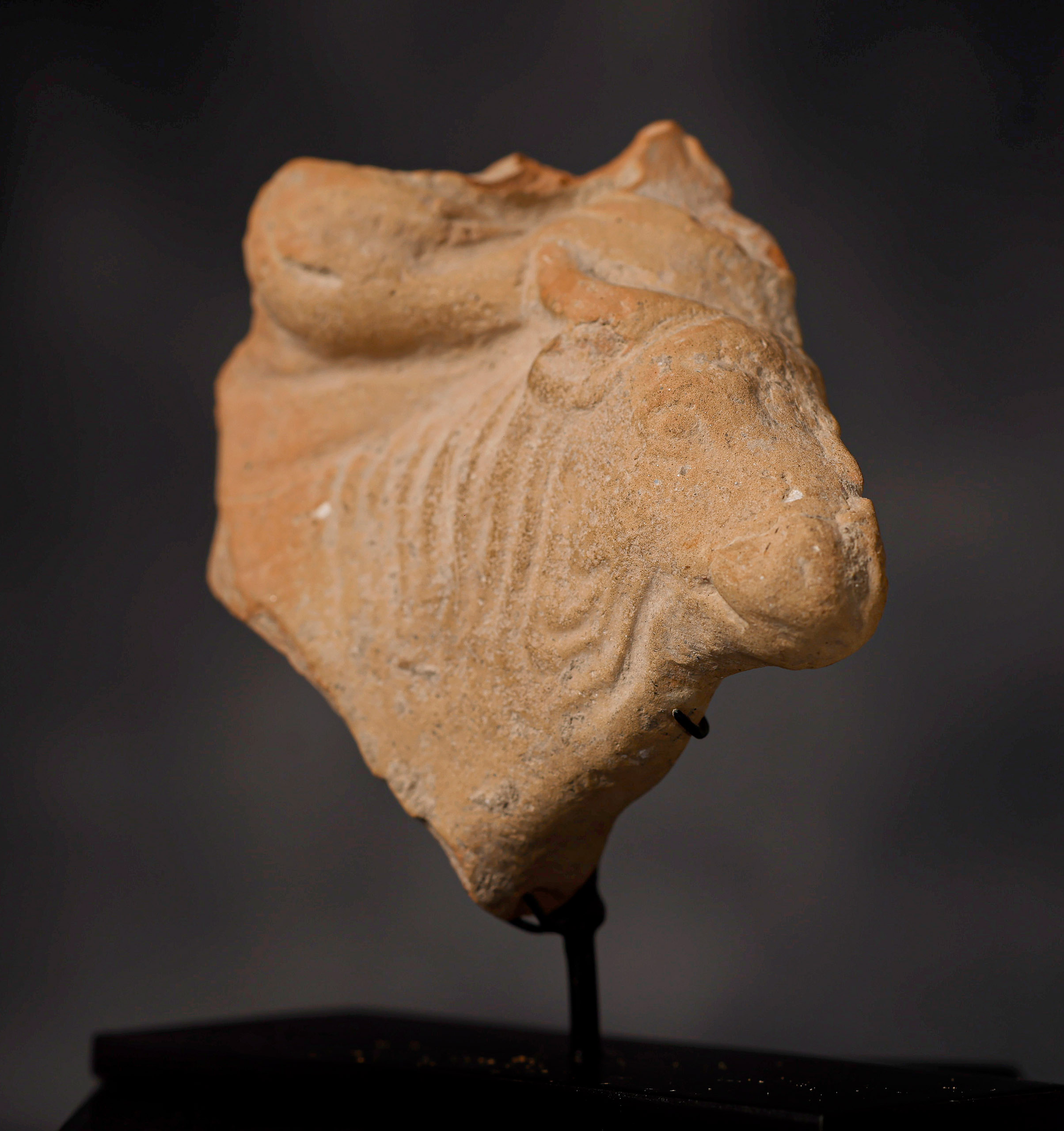 Fragmento representando a una cabeza de toro - Imagen 2