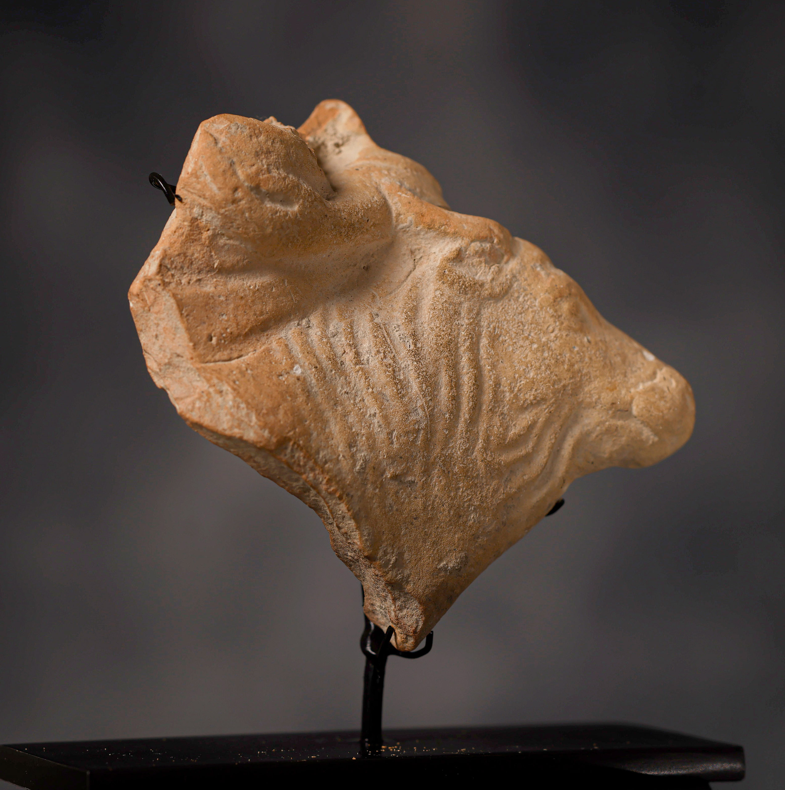 Términos y condiciones Galería Cervera