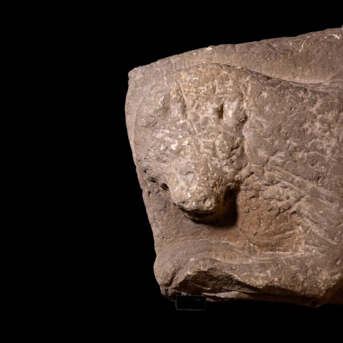 Altorrelieve representando un Lobo Ibérico - Galería F. Cervera - EU-090