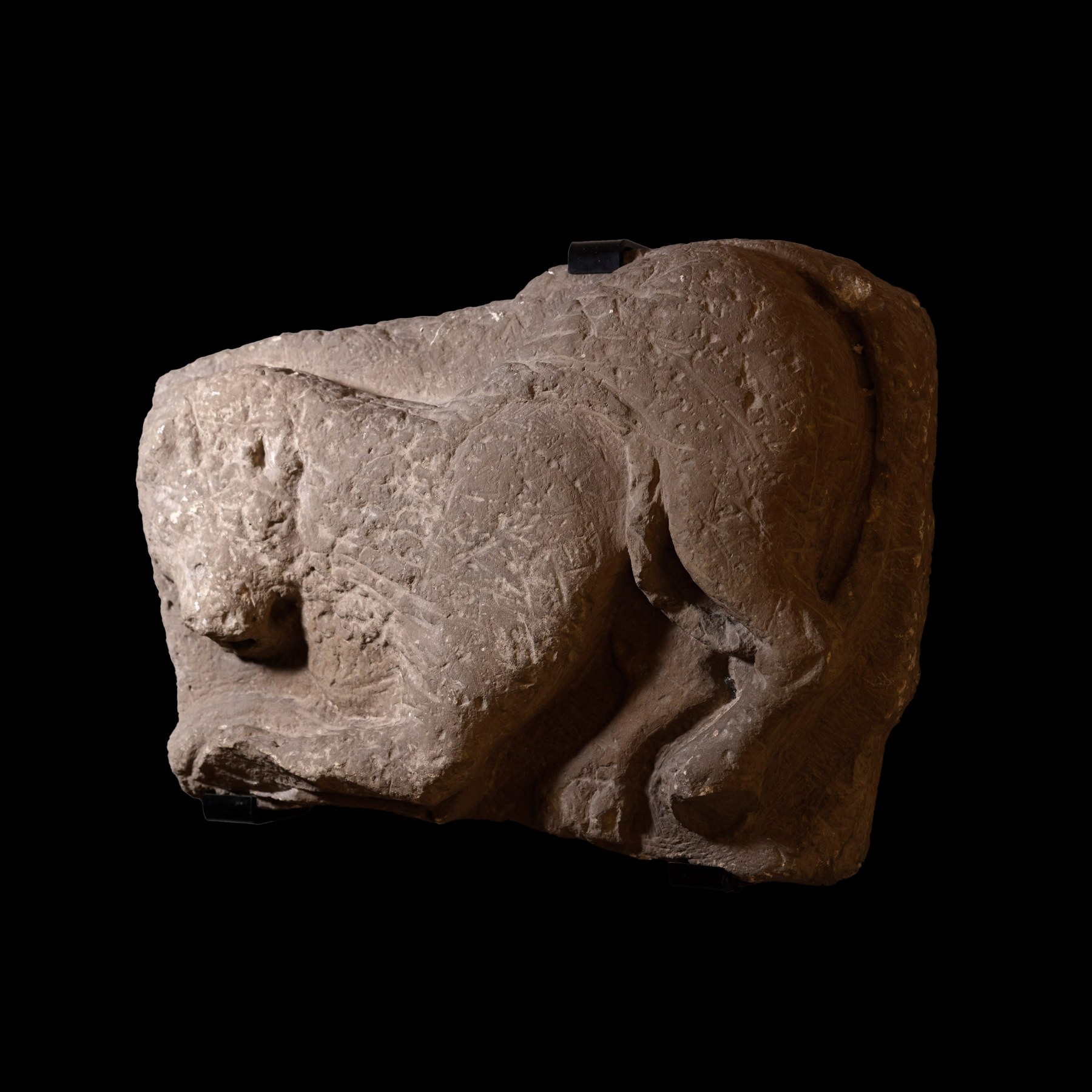 Altorrelieve representando un Lobo Ibérico - Galería F. Cervera - EU-090