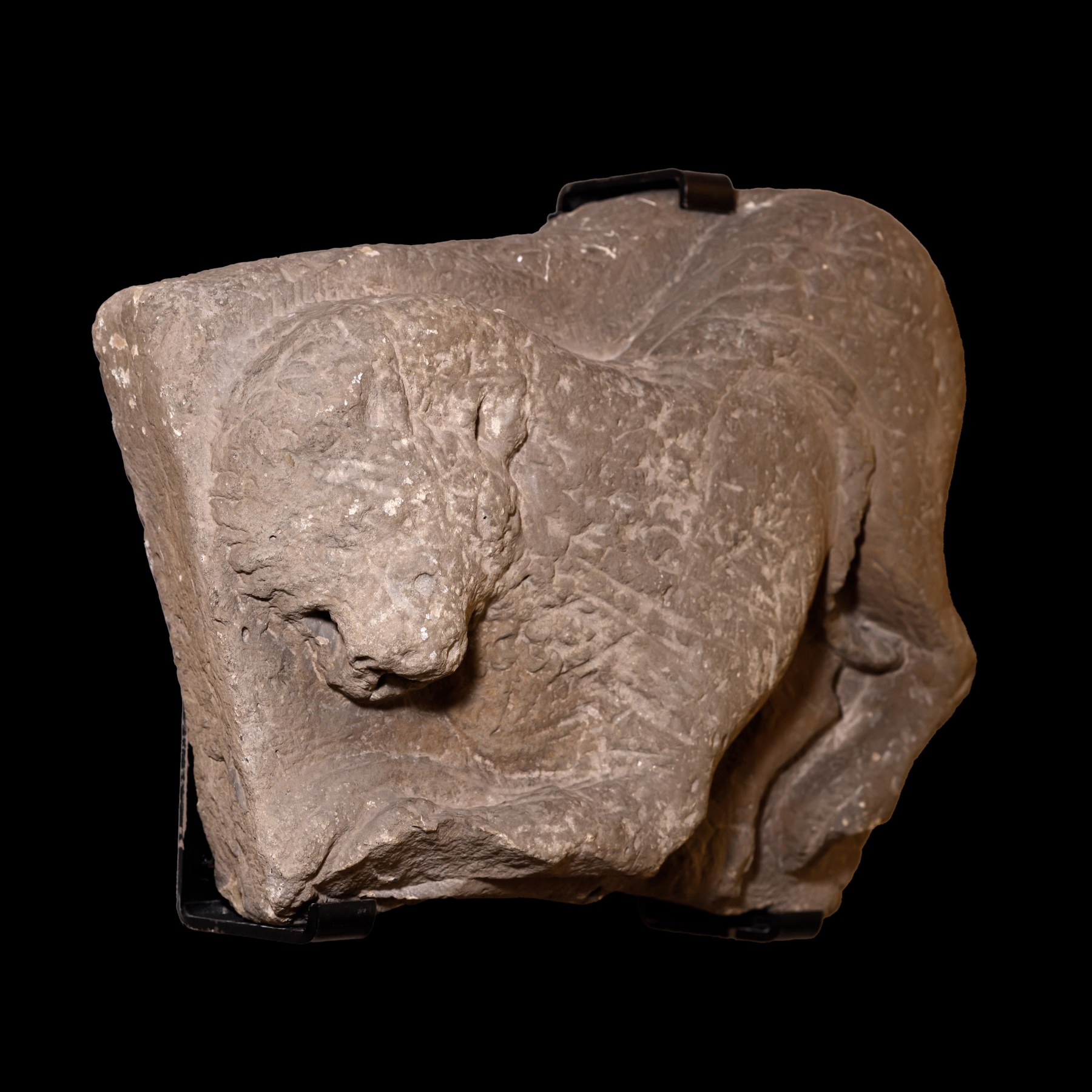 Altorrelieve representando un Lobo Ibérico - Galería F. Cervera - EU-090