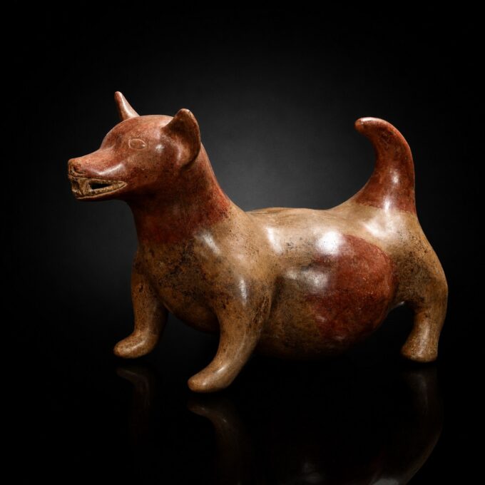 Escultura de perro de Colima - México - Galería F. Cervera - PC-009